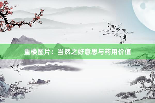 重楼图片：当然之好意思与药用价值